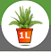 1. Application 
Back Button