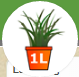 1. Application 
Back Button
