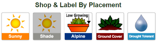10. Shop By Placement