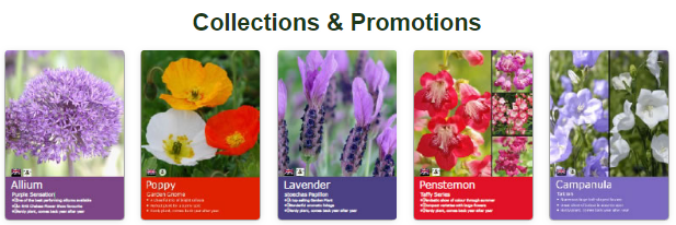 4. Shop By 
Collections & Promotions