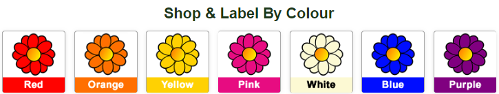 8. Shop By Colour