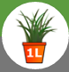 1. Application 
Back Button