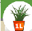 1. Application 
Back Button