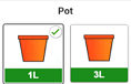 4. Container Options
