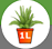 1. Application 
Back Button