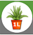 1. Application 
Back Button