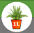 1. Application 
Back Button