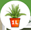 1. Application
Back Button