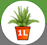 1. Application
Back Button