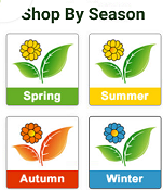 7. Shop By Season