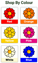 8. Shop By Colour
