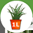 1. Application
Back Button