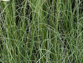 3. Product Detail 
Picture